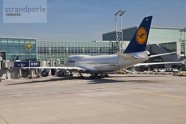 Eine Boeing 747 der Lufthansa steht am Terminal  Flughafen Frankfurt  Frankfurt am Main  Hessen  Deutschland  Europa