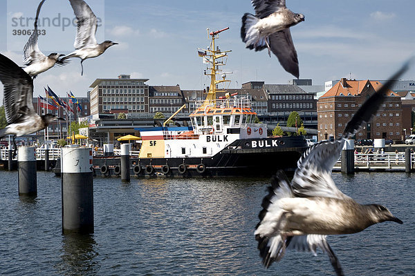 Schiff  Kiel  Schleswig-Holstein  Deutschland  Europa