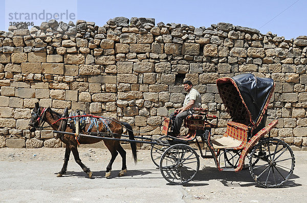 Mann auf Kutsche für Touristen  Ausgrabungsstätte in den Ruinen von Bosra  Syrien  Asien