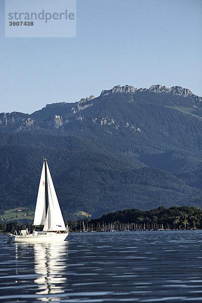 Weiße Yacht mit der Kampenwand in der Ferne  Chiemsee  Chiemgau  Oberbayern  Deutschland  Europa