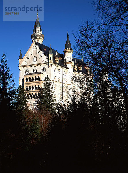 Schloss Neuschwanstein  Allgäu  Oberbayern  Deutschland  Europa