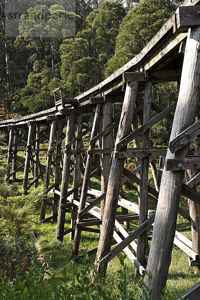 Trestle-Brücke  erbaut 1899  auf der Strecke der Puffing Billy Railway Schmalspurbahn  Dandenong Ranges  Victoria  Australien