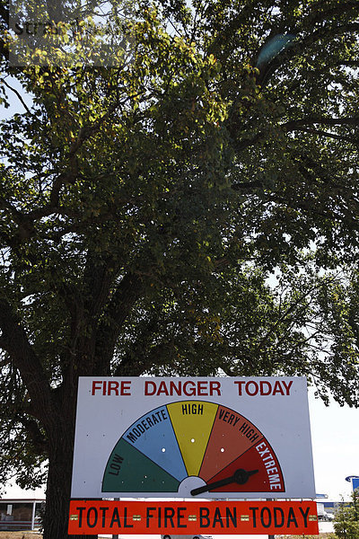 Feuergefahr-Anzeige und Eukalyptusbaum am Straßenrand  Victoria  Australien