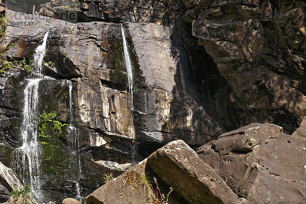 Stevenson Falls Wasserfall  Victoria  Australien