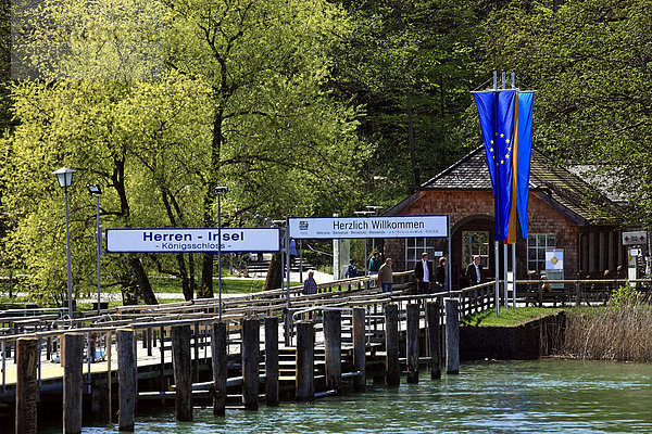 Bootsanlegestelle an der Herreninsel  Chiemsee  Chiemgau  Oberbayern  Deutschland  Europa