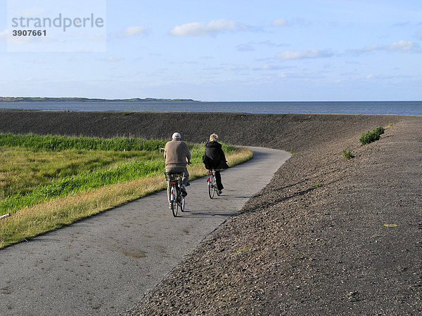 2 Radfahrer auf einem Weg entlang einer Deichmauer  Insel Amrum  Schleswig-Holstein  Deutschland  Europa