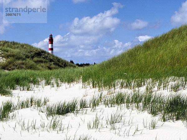 Leuchtturm und Dünen  Insel Amrum  Schleswig-Holstein  Deutschland  Europa