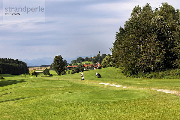 Golfplatz Höslwang  Chiemgau  Oberbayern  Deutschland  Europa