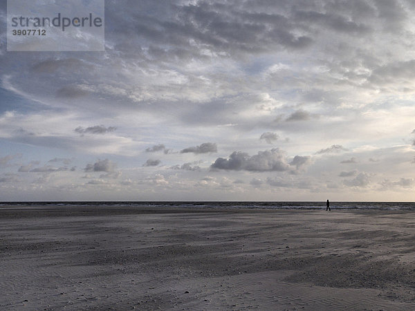 Person in der Ferne geht am Strand entlang  nordfriesische Insel Amrum  Schleswig-Holstein  Deutschland  Europa