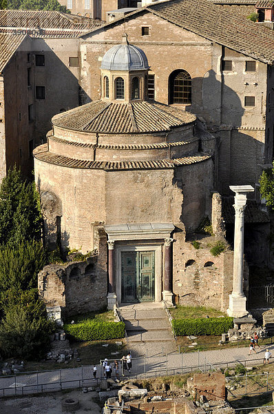 Divus-Romulus-Tempel  Forum Romanum  Rom  Latium  Italien  Europa