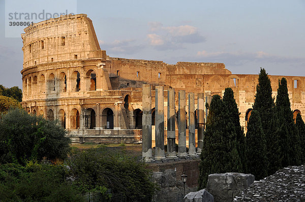 Kolosseum  Säulen des Venus-und-Roma-Tempel  Forum Romanum  Rom  Latium  Italien  Europa