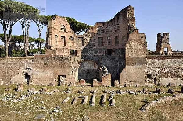 Stadion  Hippodrom mit Kaiserloge  Domus Augustana  Palatin  Rom  Latium  Italien  Europa