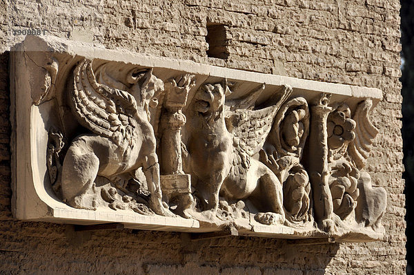 Relief mit geflügelten Hunden  Domus Augustana  Palatin  Rom  Latium  Italien  Europa