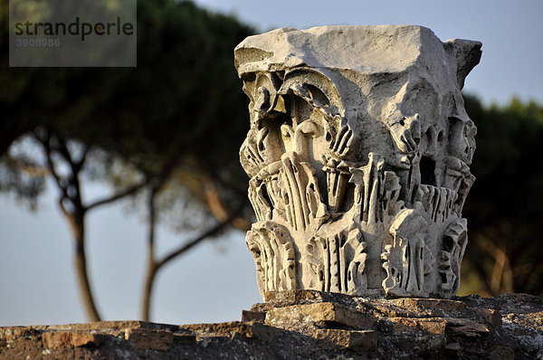 Säulenkapitell  Domus Flavia  Palatin  Rom  Latium  Italien  Europa