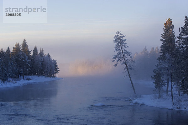 Flusslandschaft im Winter  Kitkajoki  Kuusamo Gebiet  Finnland  Europa