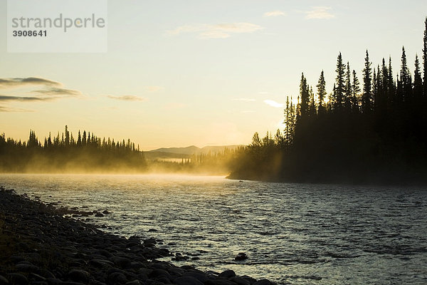 Morgen  Nebel  Nebel  Sonnenuntergang  Silhouette von Bäumen  oberer Liard River  Yukon Territory  Kanada