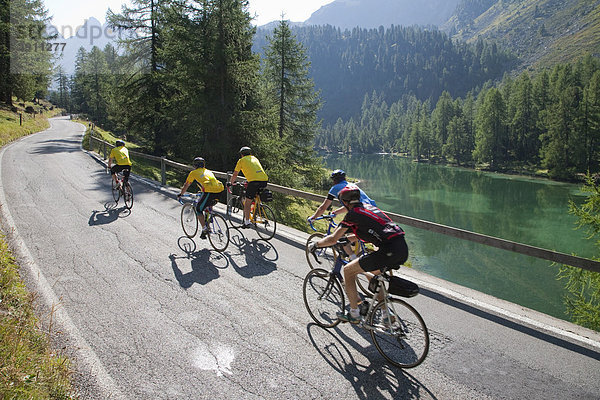 Radfahrer am Albulapass  Palpuognasee  bei Preda  Graubünden  Schweiz  Europa