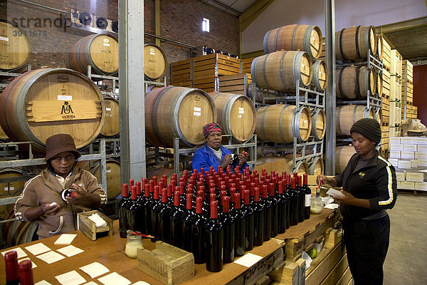 UVAMIRA  Weingut  Weinkeller  Fässer  Lager  Rotwein  Stellenbosch  bei Kapstadt  Westkap  Südafrika  Afrika