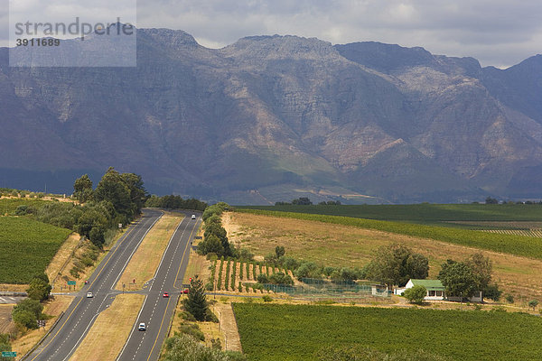 Landstraße durch die Weinregion am Kap  Stellenbosch  Kapweinland  Westkap  Südafrika  Afrika