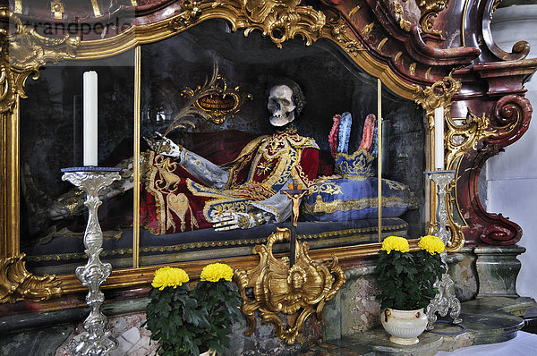 St. Bonifacius-Medicus und Märtyrer  Gerippe hinter Glas  Basilika der Benediktinerabtei Ottobeuren  Bayern  Deutschland  Europa