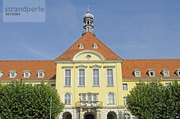 Rathaus  Herford  Ostwestfalen  Nordrhein-Westfalen  Deutschland  Europa