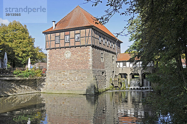 Wassermühle  Mühle  Fluss Stever  Lüdinghausen  Kreis Coesfeld  Münsterland  Nordrhein-Westfalen  Deutschland  Europa