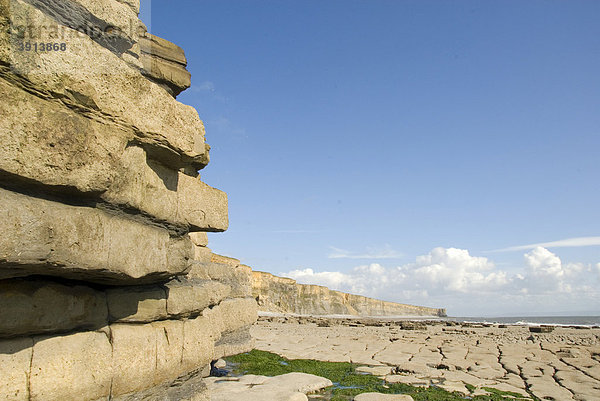 Gesteinsschichten  Klippen  Küste  Nash Point  Glamorgan Heritage Coast  Südwales  Wales  Großbritannien  Europa