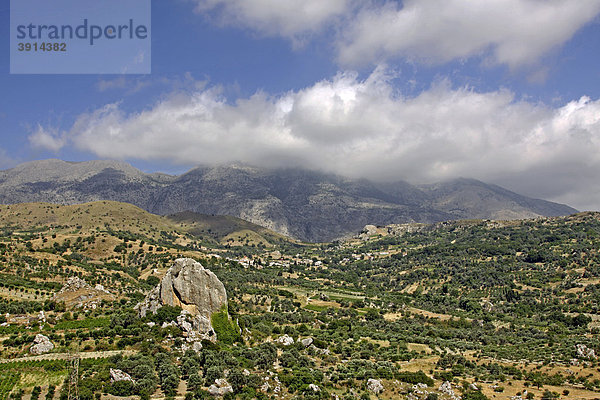 Nida Hochebene  Olivenanbau  Kreta  Griechenland  Europa