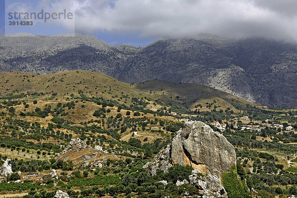 Nida Hochebene  Olivenbäume  Kreta  Griechenland  Europa