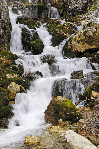 Kleiner Wasserfall an den oberen Isarquellen  Karwendelgebirge  Tirol  Österreich