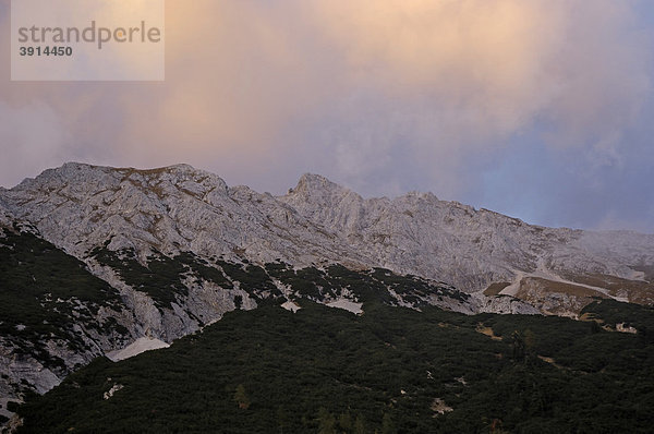 Blick zur Suntigerspitze  Karwendelgebirge  Tirol  Österreich