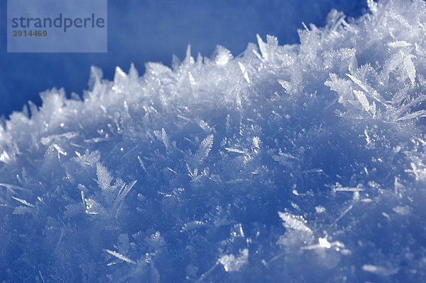 Schnee  Eiskristalle  Detail  Nahaufnahme