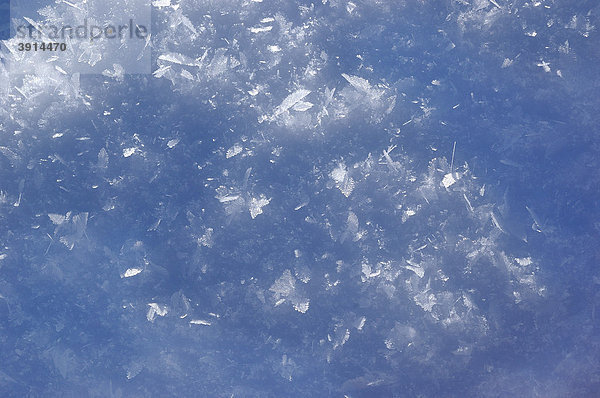 Schnee  Eiskristalle  Detail  Nahaufnahme