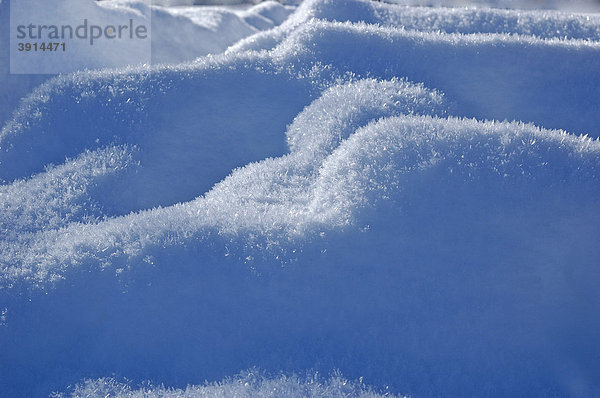 Schnee  Eiskristalle  Detail