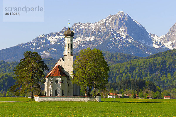 Wallfahrtskirche St. Coloman bei Füssen  Thannheimer Berge  Frühling  Ostallgäu  Allgäu  Bayern  Deutschland  Europa