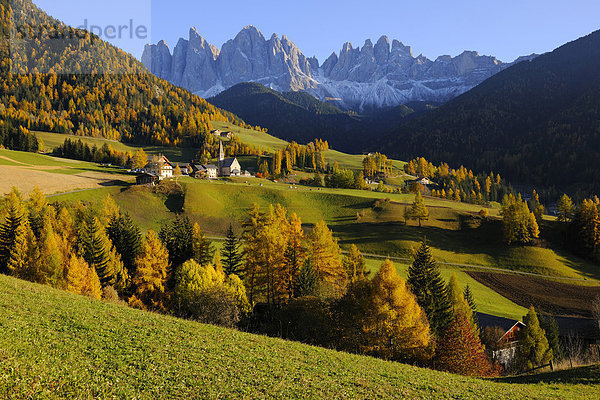 Kirche von St. Magdalena mit Geislergruppe  Villnösstal  Dolomiten  Südtirol  Italien  Europa
