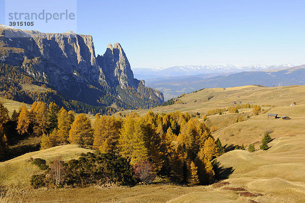 Seiser Alm mit Schlern  Dolomiten  Südtirol  Italien  Europa