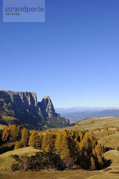 Seiser Alm mit Schlern  Dolomiten  Südtirol  Italien  Europa