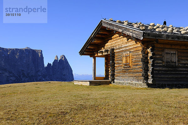 Seiser Alm mit Schlern  Dolomiten  Südtirol  Italien  Europa