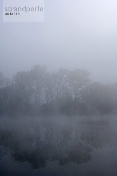 Nebelstimmung im Herbst an einem Baggersee bei Wendlingen  Baden-Württemberg  Deutschland  Europa