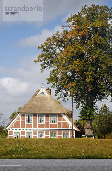 Fachwerkhaus in Altengamme  Hamburg  Deutschland  Europa