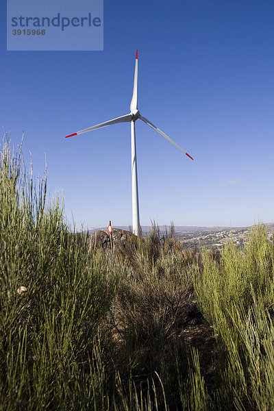 Windturbine in Lamego  Portugal  Europa