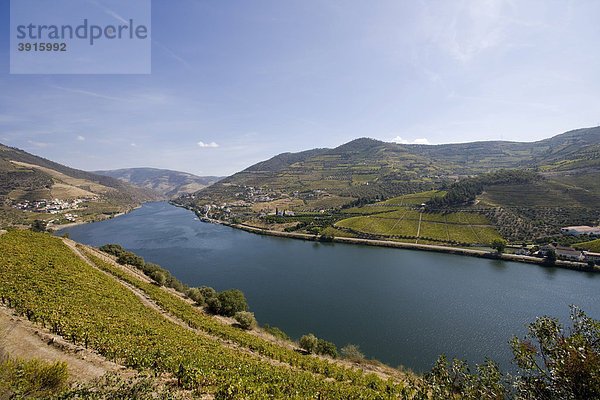 Douro-Fluss und Weinberge  Portugal  Europa