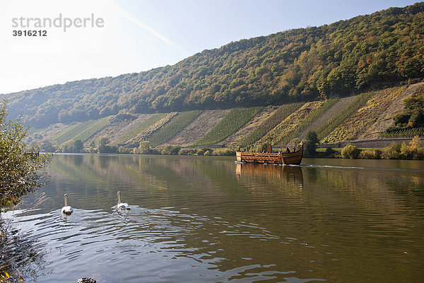 Die Stella Noviomagi  der Nachbau eines römischen Weinschiffes mit Touristen auf der Mosel  Neumagen-Dhron  Rheinland-Pfalz  Deutschland  Europa