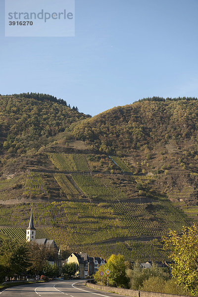 Weinort Bremm  Bremmer Calmont mit den steilsten Weinbergen der Welt  Mosel  Rheinland-Pfalz  Deutschland  Europa