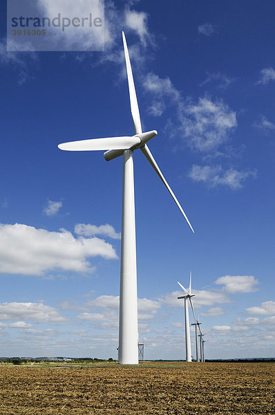 Windturbine in einem Windpark  Vereinigtes Königreich  Europa