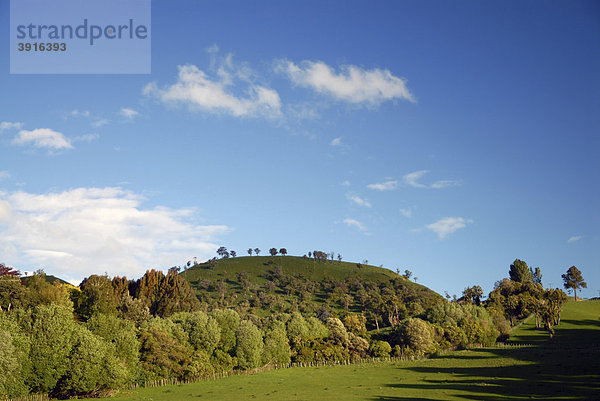 Grünes Hügelland in der Nähe von Masterton  Wellington  im südlichen Teil der Nordinsel von Neuseeland
