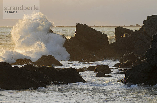 Wellen brechen sich an den Klippen bei Cape Palliser an der Cook Strait  Cookstraße  an der Südspitze der Nordinsel  Neuseeland