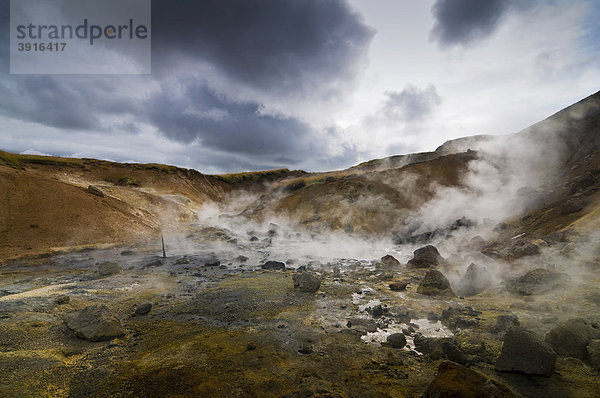 Thermalgebiet in Krisuvik  Island  Europa