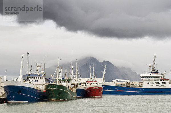 Fischerboote im Hafen von Höfn  Island  Europa